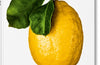 The Gourmand’s Lemon