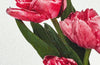 Pink Tulips Greeting Card | Birthday Card | Luxury Cards