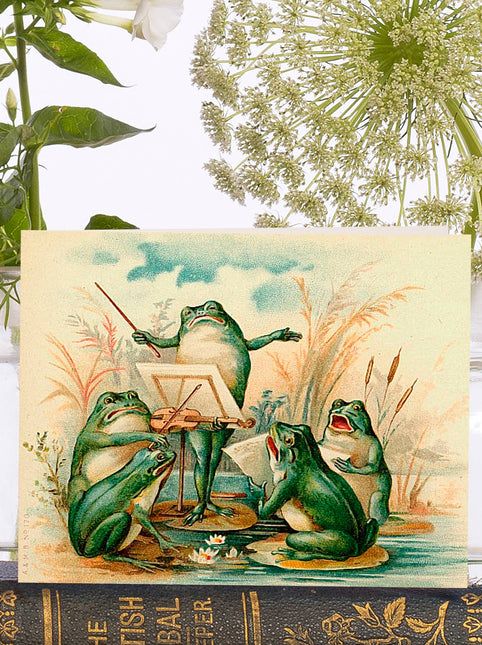 Little Vintage  Greeting Card