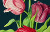 Blank Midnight Botanical Greeting Card