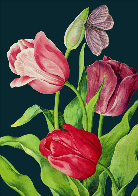 Blank Midnight Botanical Greeting Card