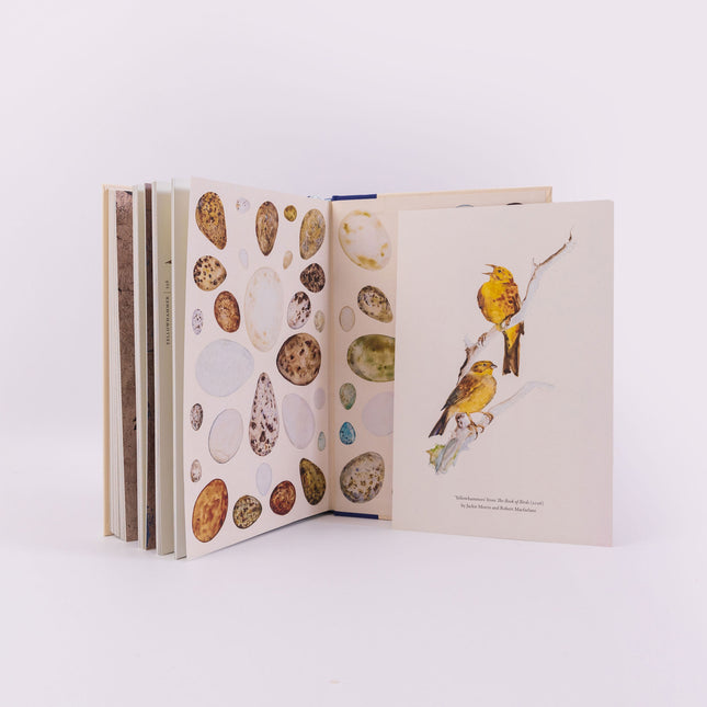 The Book of Birds: A Field Guide to Wonder and Loss by Robert Macfarlane & Jackie Morris (PRE-ORDER SIGNED INDEPENDENT BOOKSHOP EDITION)