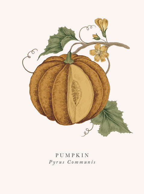 Pumpkin Greetings Card