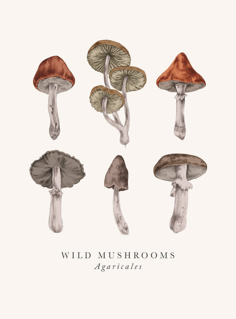 Mushroom Greetings Card