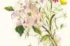 Spring Vase Card
