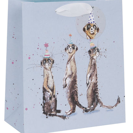 Collection image for: Gift Bags & Wrap