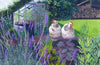 Hens on a Summer Morning Card
