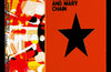 Never Understood: The Jesus Mary Chain (SIGNED, LIMITED EDITION)