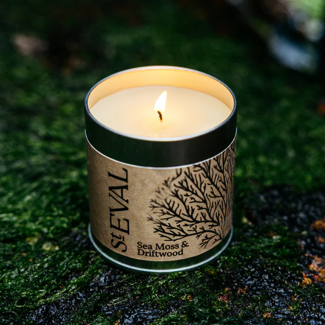 St Eval Sea Moss & Driftwood Scented Tin Candle