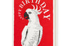 Archivist Birthday Cockatoo Card