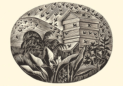 Eric Ravillious Kitchen Garden in June Card