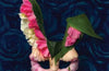 We Love You, Bunny by Mona Awad (PRE-ORDER)