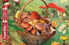 Fungi