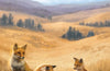 Cascadia: Rolling Hills