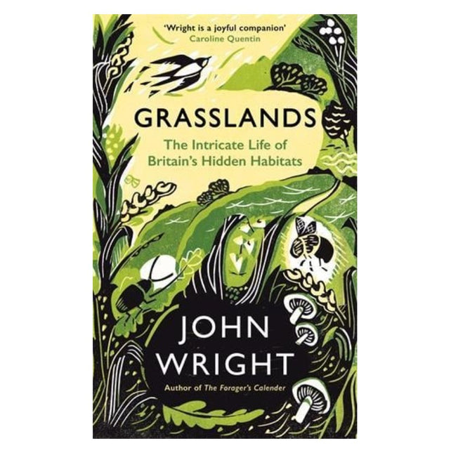 Grasslands: The Intricate Life of Britain's Hidden Habitats by John Wright
