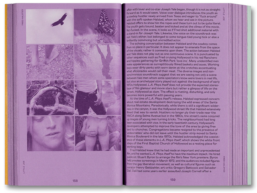 Little Joe: A book about queers and cinema, mostly by Sam Ashby