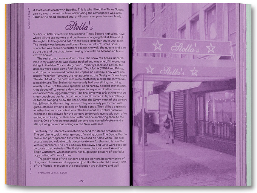 Little Joe: A book about queers and cinema, mostly by Sam Ashby