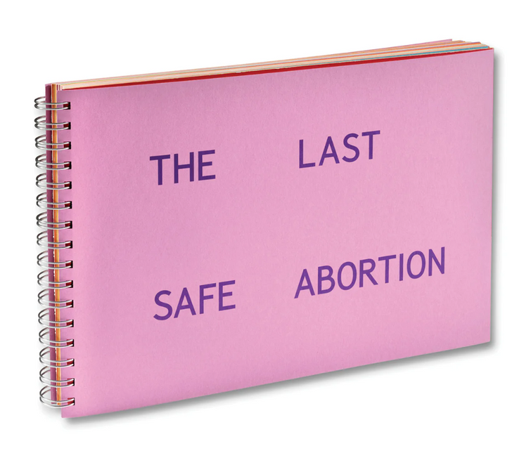 The Last Safe Abortion by Carmen Winant
