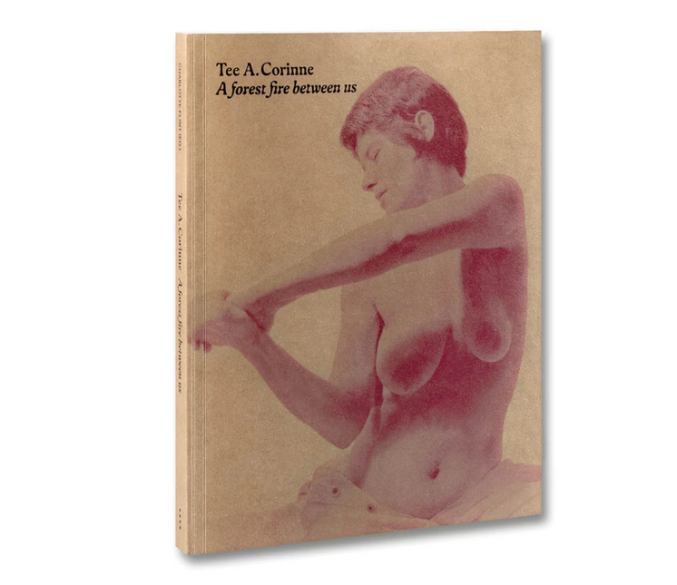 Tee A. Corinne: A forest fire between us