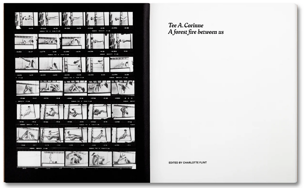 Tee A. Corinne: A forest fire between us