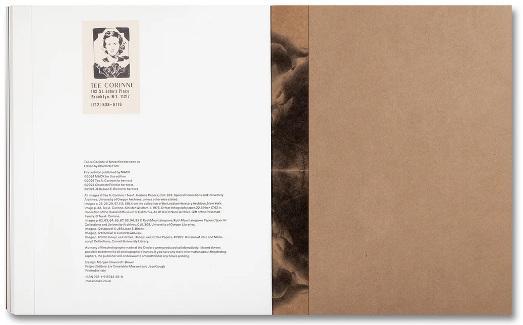 Tee A. Corinne: A forest fire between us