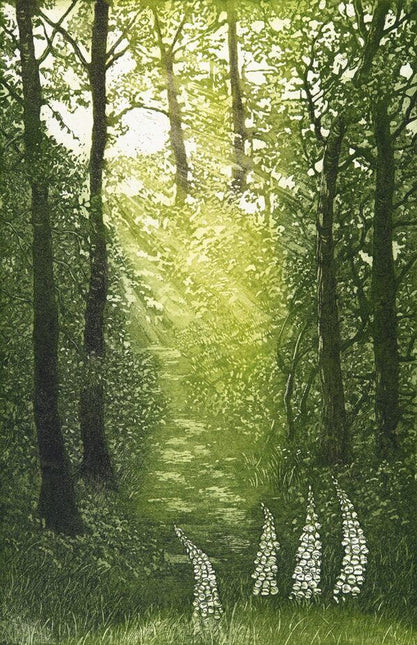 Woodland Glade Card