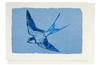 Blue Foil Swallow | Letterpress Cards | Small Cards