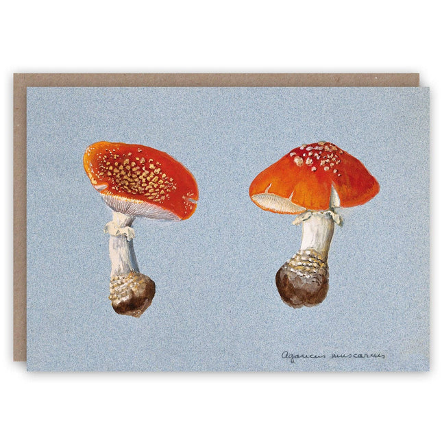 Fly Agaric