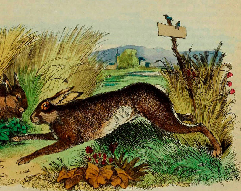 Little Vintage  Greeting Card