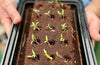 The Cat Growbar