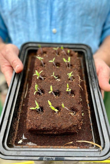 The Gin Growbar