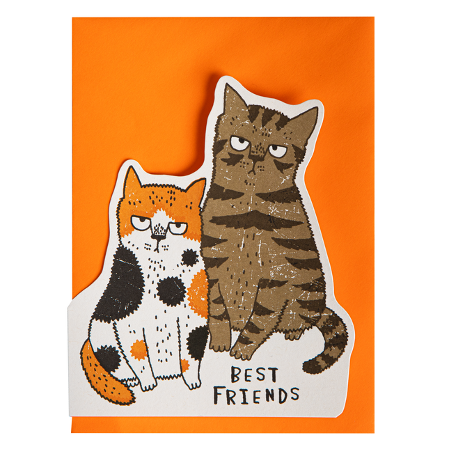 Grumpy Cats | Letterpress Cards | Cut-out Cards