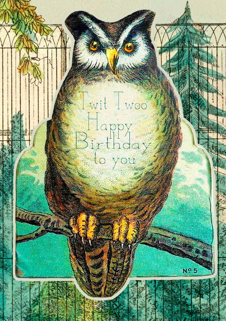 Birthday Card