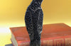 Rook in a Book - Bookmark