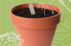 Bee Seedsticks®