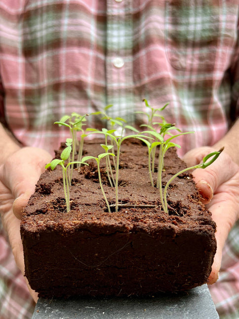 The Bird Growbar