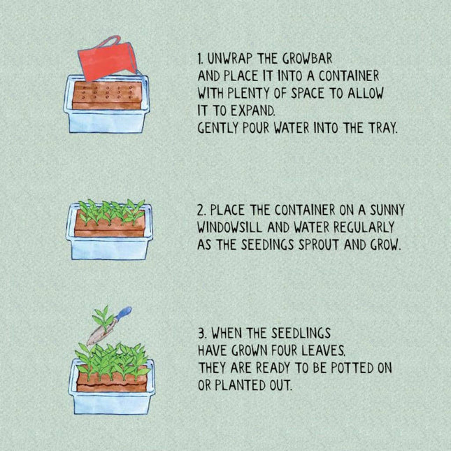 The Salad Growbar