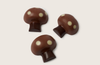 A Troop of Toadstools