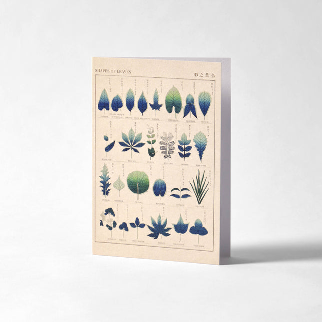 Greetings Card - Shapes of Leaves