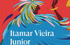 Saving the Fire: A Novel by Itamar Vieria Junior