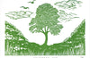 Sycamore Gap Card