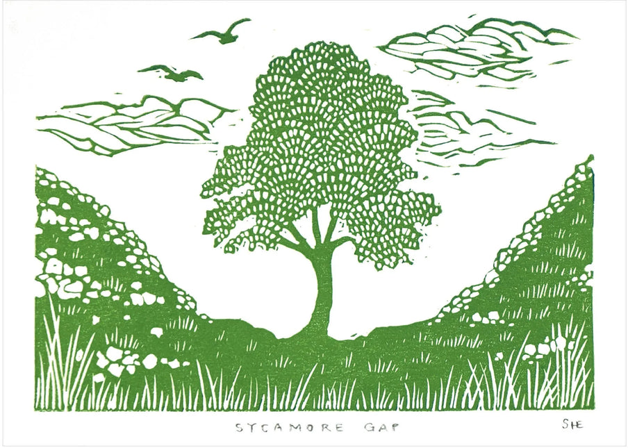 Sycamore Gap Card