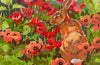 Orwell Press Hare and Poppies Card