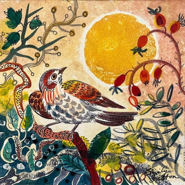 Canns Down PACK - Finch and Berries